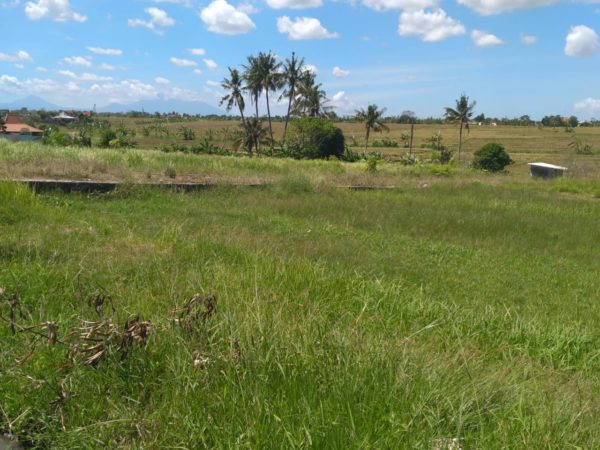 Dijual Tanah Di Pererenan